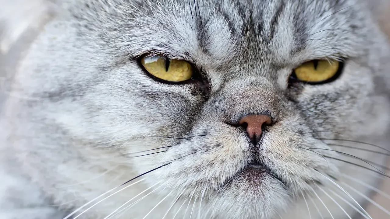 Les 8 Tendances Webdesign Incontournables en 2025 : Guide Complet pour Moderniser Votre Site